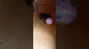 1000197937.mp4