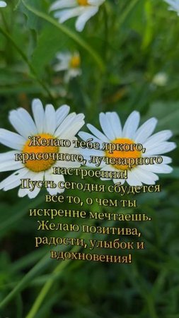 Отличного настроения!