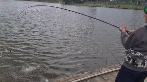 Юный рыбак
