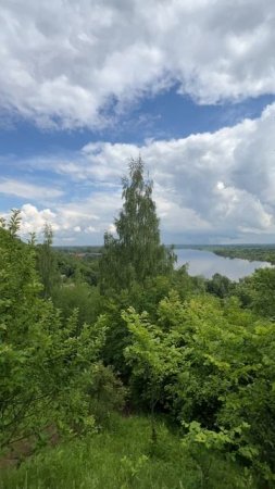 Поворот реки DenBan4