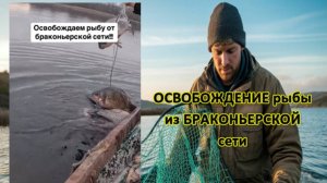 👏 ОСВОБОЖДЕНИЕ рыбы из БРАКОНЬЕРСКОЙ сети 🙌