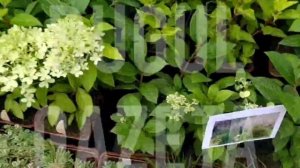 Самозанятые бугульминцы представляют свои изделия на площадке "Расширяй горизонты"