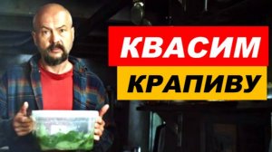 ⚡ Как квасить КРАПИВУ