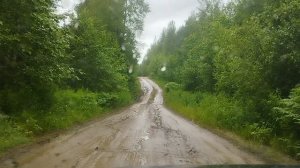 Лесной патруль🌲🌲🌲
