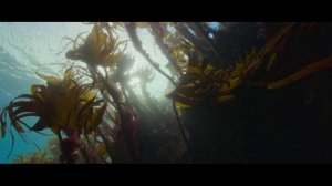 Радха Мадхава