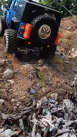 RC Desert Off Road Jeep Wrangler JK Rubicon #rctrophy #rcoffroad