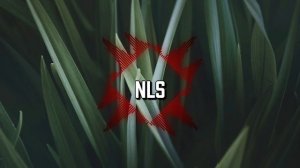 nomu. - Rush [NLS Promotion] | Hyperpop