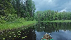 Сплав - река Андома ( нарезаю повороты )