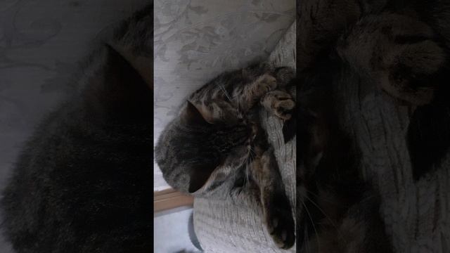 VID_20250629_161232