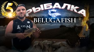 Рыбалка в Белугафиш. Трофеи отрывают снасти