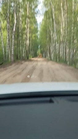 дорога