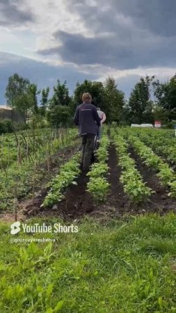 #грузовыерешения ✅️ #пашем  #automobile #дальнобощики #приколы #shortvideo