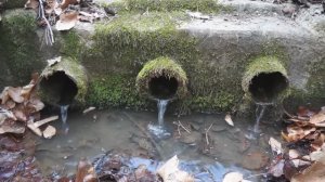 Родник Чок-су