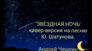 'ЗВЁЗДНАЯ НОЧЬ' (кавер Ю. Шатунова, Андрей Чешуин)