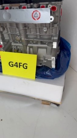 g4fg ml (1)