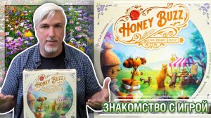 Знакомство с настольной игрой «HONEY BUZZ»
