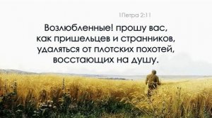 Твой город не здесь (2)