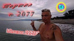 #Абхазия2025🌴 29 июня. Выпуск №2077🌡вчера +30°🌡ночью  +18°🐬море +23,3°❗