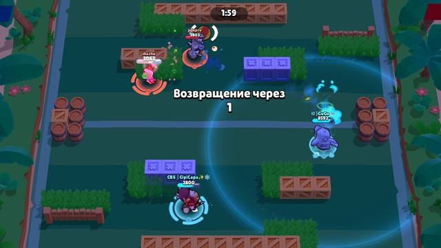 катка на Таре