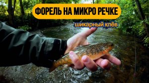#рыбалка #спиннинг #форель | 🔥Река набита форелью🔥 |  💥Бомбическая рыбалка 💥 |