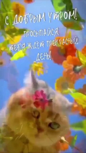 С добрым утром!