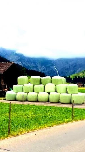 Камера не смогла пропустить этот момент
