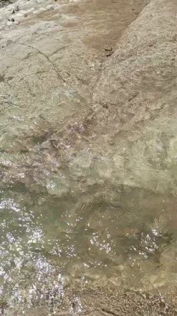 1000052635.mp4
