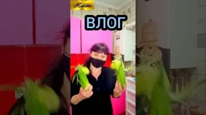 ВЛОГ