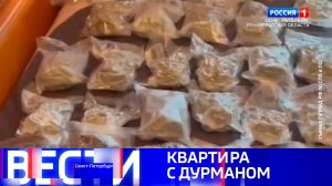 Вести Санкт-Петербург. Выпуск 08.00 от 29.06.2025