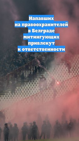 Напавших на правоохранителей в Белграде митингующих привлекут к ответственности