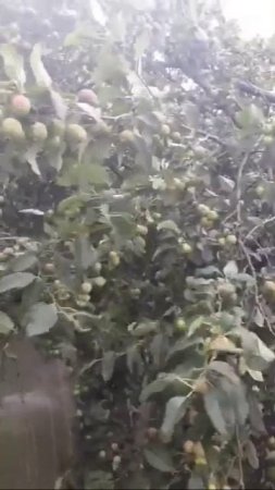 Жалко! Но так бывает,
