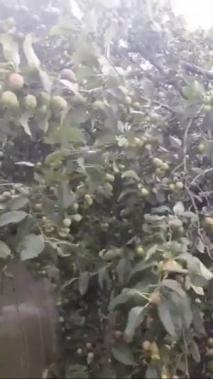 Жалко! Но так бывает,