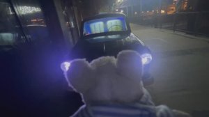 Салон автомобиля заполнен водой! Мышка Дудень показывает