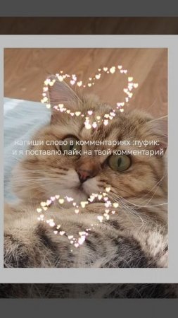 :Пуфик: