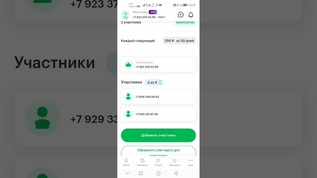 мега семья