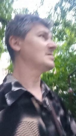 танцы шанцы лето
