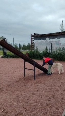 Кто кого тренирует? 🤣