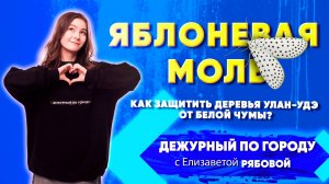 Яблоневая моль убивает улан-удэнские растения | ДПГ. Неделя