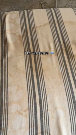 Пароочиститель для уборки дома с валдберис 391773767