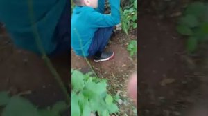 ОБСТРЕЛ