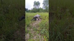 Помощь другу 😁😁😁