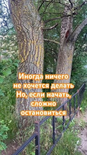 Начать
