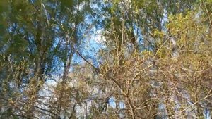 Дачный сезон открыт