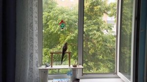долгожданная прохлада😍