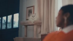 The Feeling Is MassMutual 1
