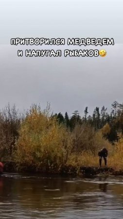 напугал рыбаков