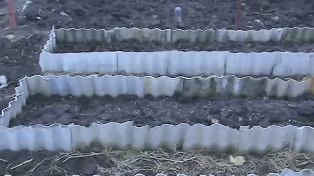 Стационарные грядки на огороде