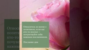 Цитаты,помогающие жить!!!