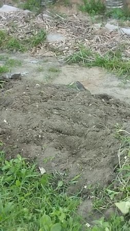 Птичку видишь! А она есть😁