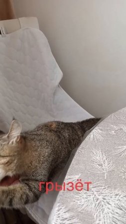 а вроде играет.